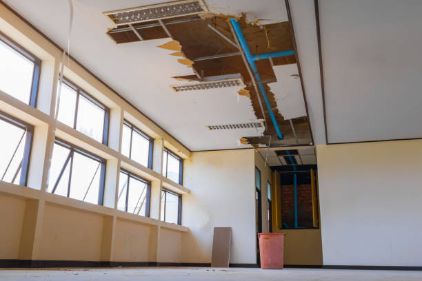 Best Residential water damage restoration  in Northvale, NJ