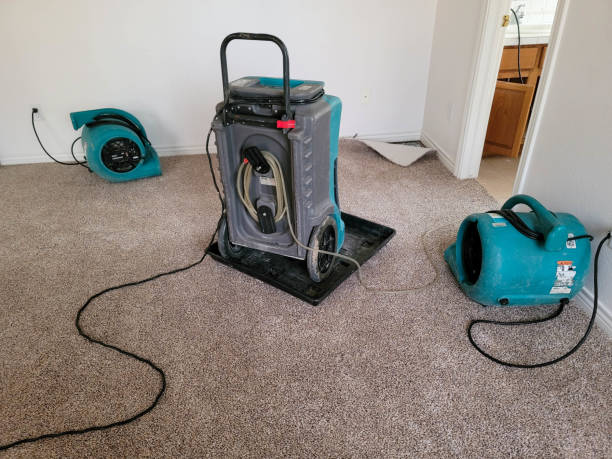 Best Professional water damage repair  in Northvale, NJ