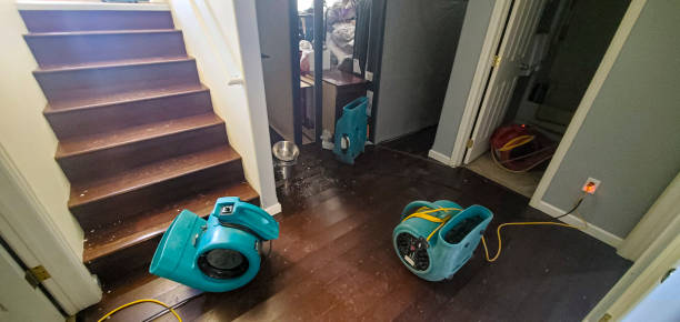 Best Water damage restoration near me  in Northvale, NJ