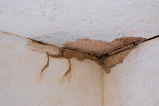 Best Emergency water damage restoration  in Northvale, NJ