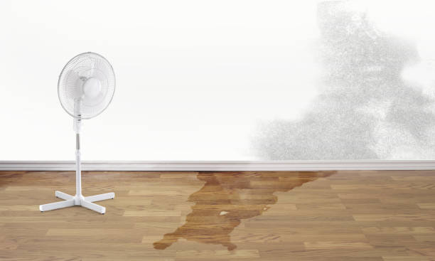 Best 24-hour water damage restoration  in Northvale, NJ