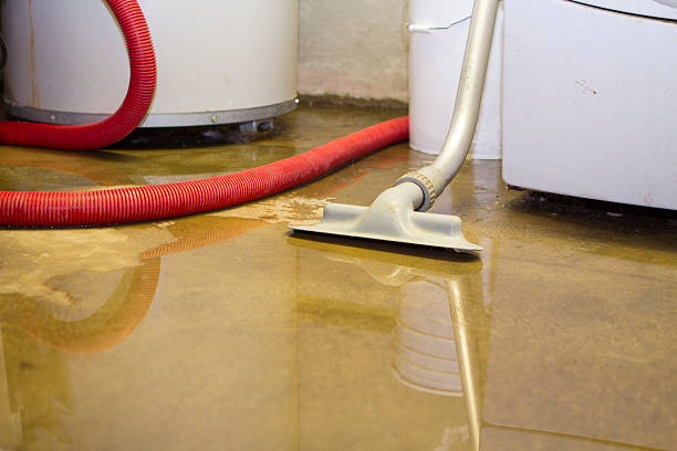 Best 24/7 water damage repair  in Northvale, NJ