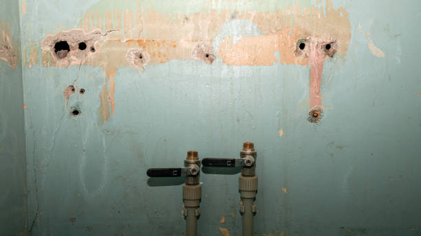 Best 24-hour water damage restoration  in Northvale, NJ