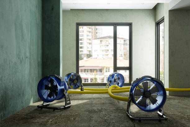 Best Sewage cleanup and water damage restoration  in Northvale, NJ